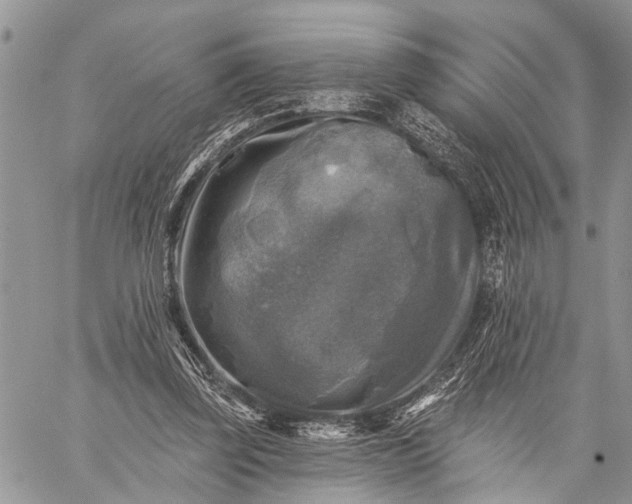 X0000059080347200510211547