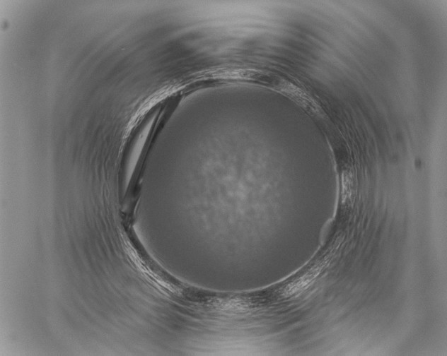 X0000059080349200510211547