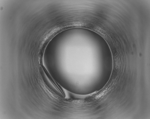 X0000059080350200510211547