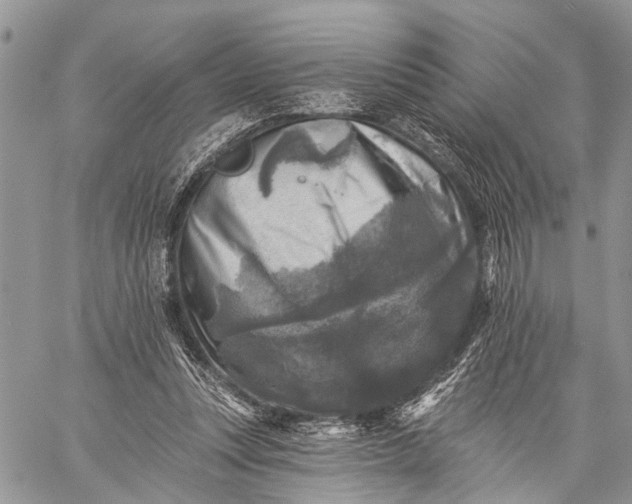 X0000059080351200510211547