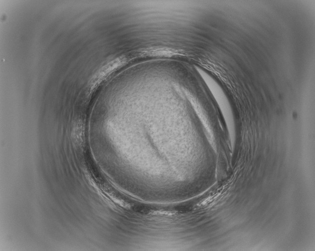 X0000059080352200510211547