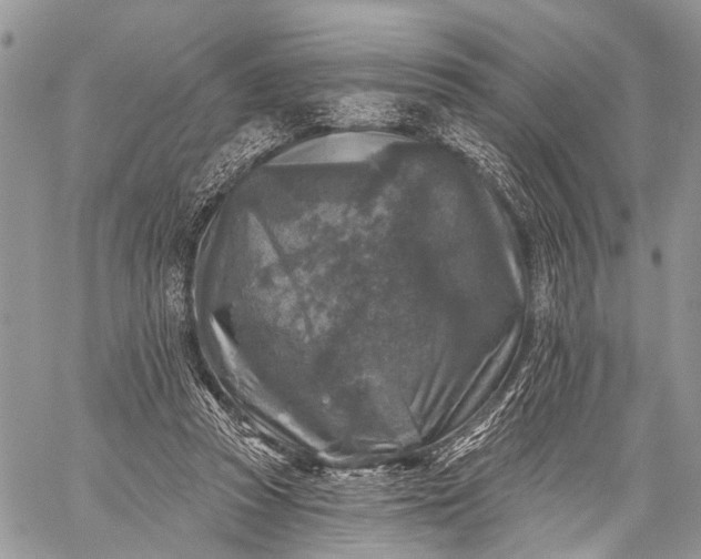 X0000059080353200510211547