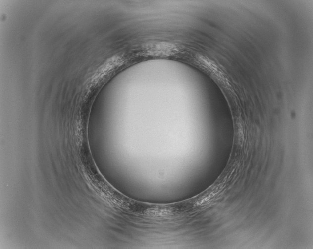 X0000059080354200510211547