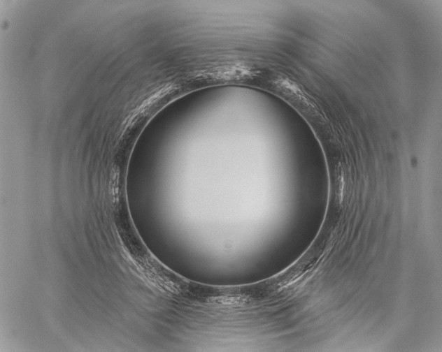 X0000059080356200510211547