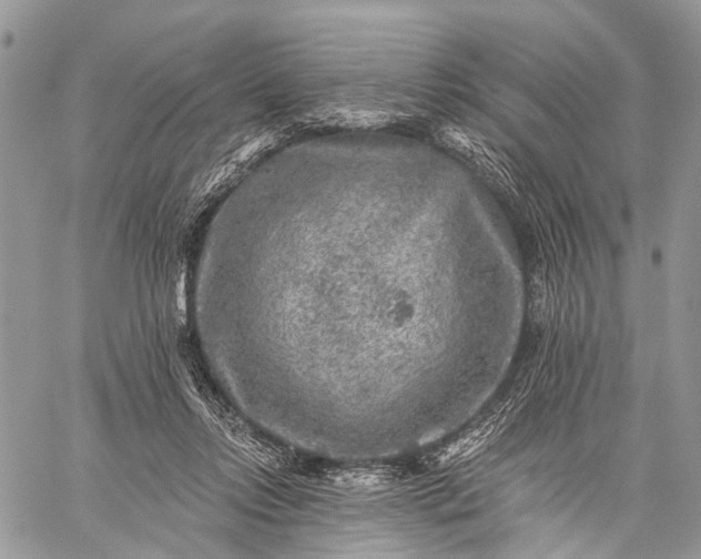 X0000059080358200510211547