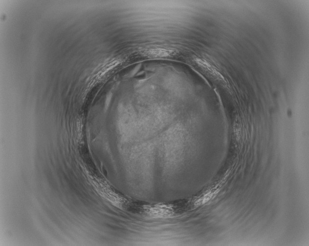 X0000059080359200510211548