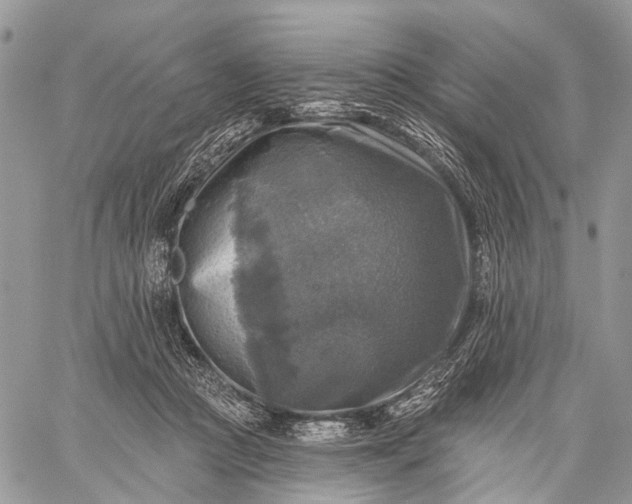 X0000059080361200510211548