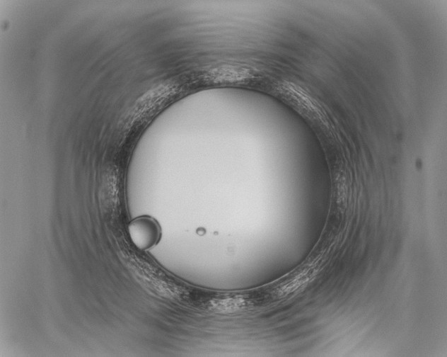 X0000059080362200510211548