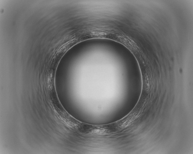 X0000059080364200510211548