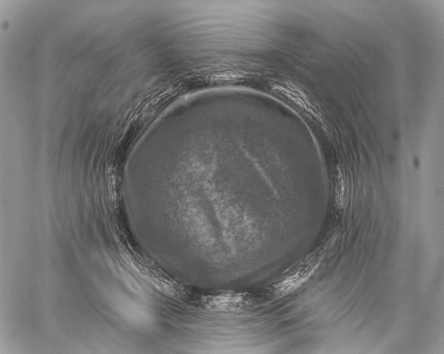 X0000059080366200510211548