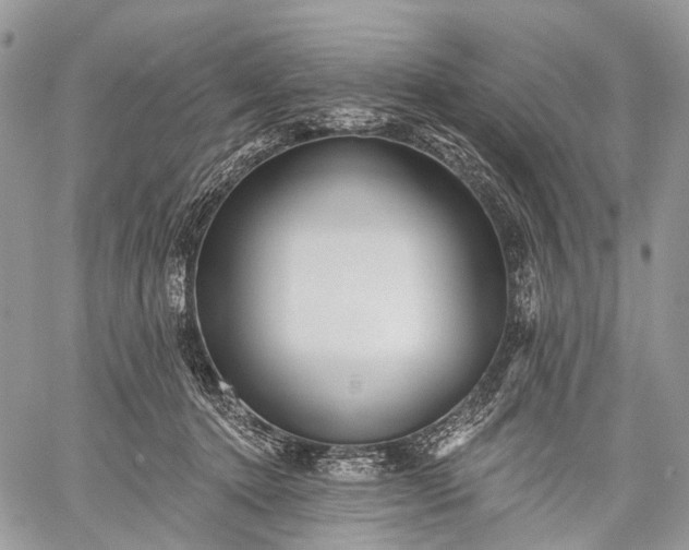 X0000059080368200510211548