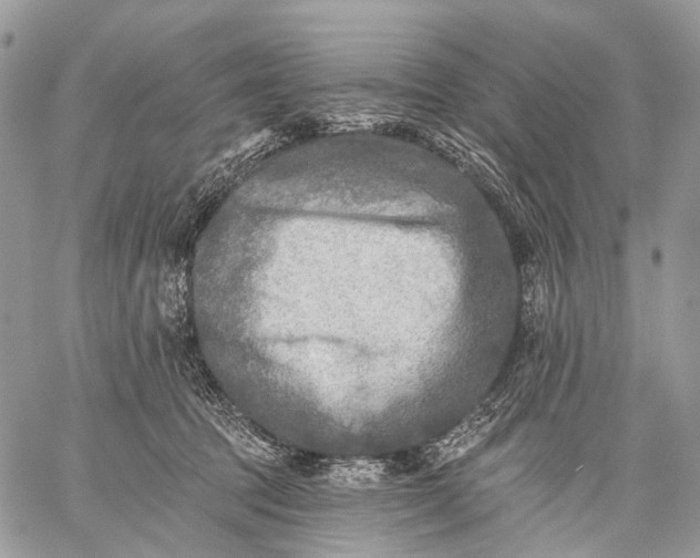 X0000059080369200510211548