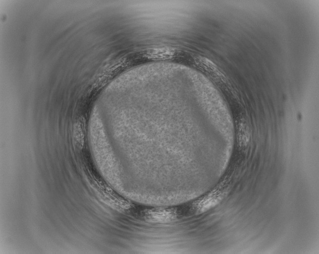 X0000059080370200510211548