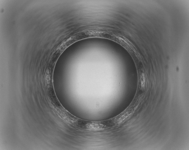 X0000059080372200510211548