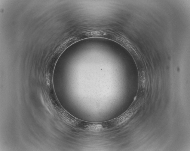 X0000059080374200510211548