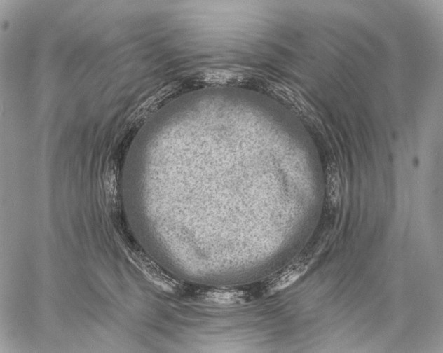 X0000059080375200510211548