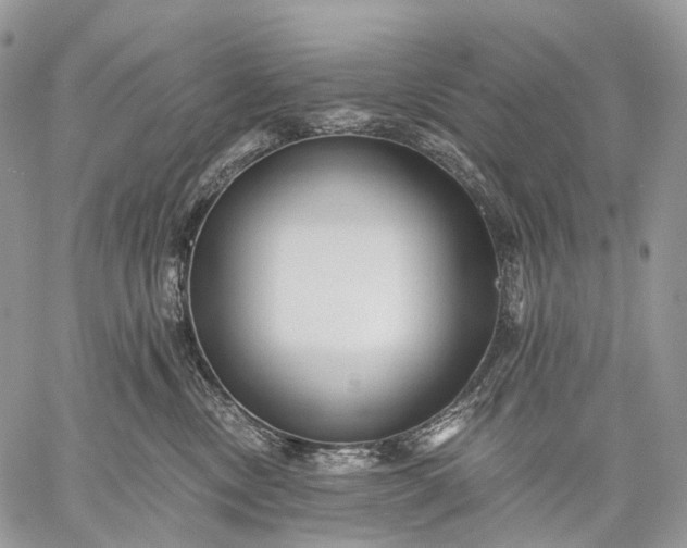 X0000059080378200510211548