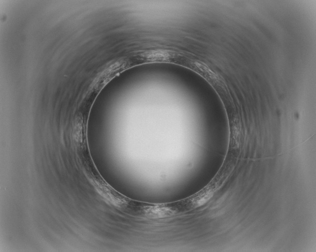 X0000059080379200510211548