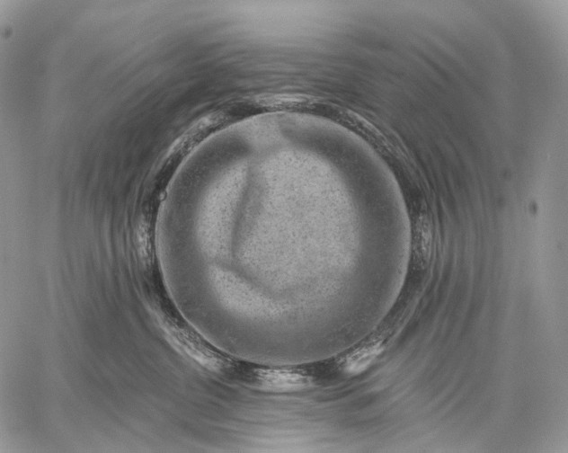 X0000059080380200510211548