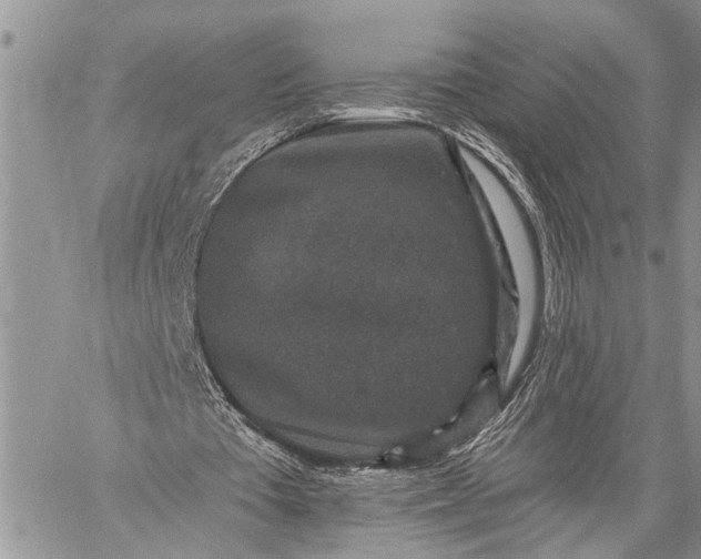 X0000059080385200510211547