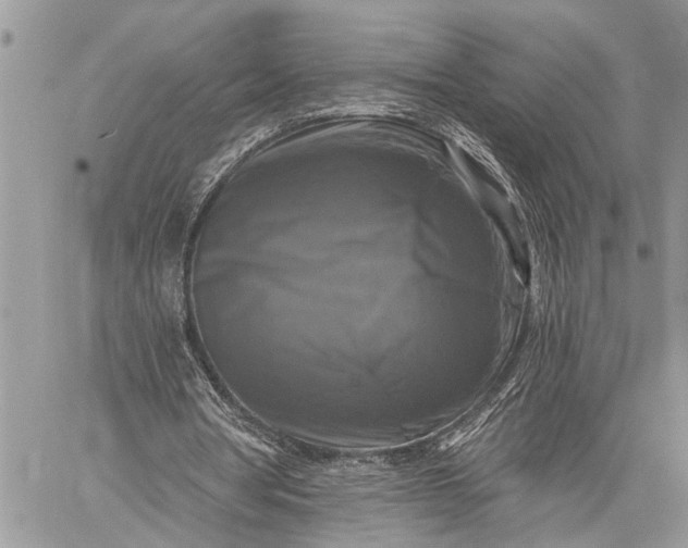 X0000059080386200510211547