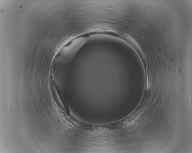 X0000059080387200510211547