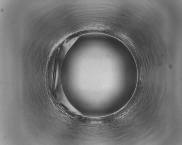 X0000059080388200510211547