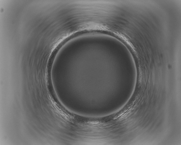 X0000059080391200510211547