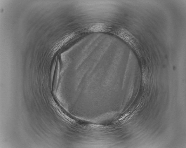 X0000059080393200510211547