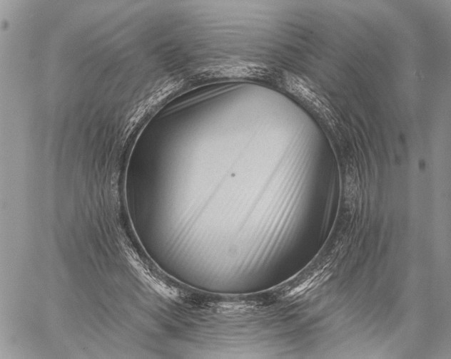 X0000059080394200510211547