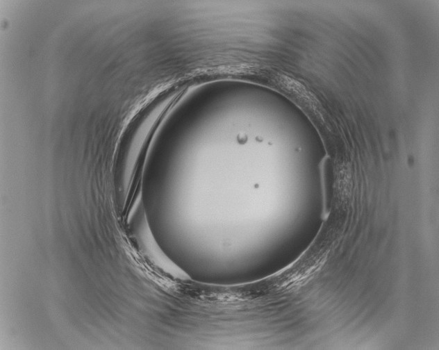 X0000059080395200510211547