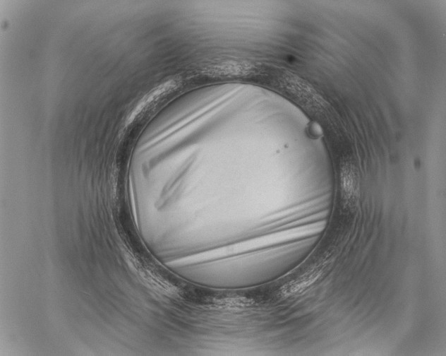 X0000059080396200510211547