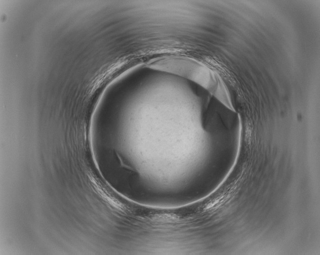 X0000059080397200510211547