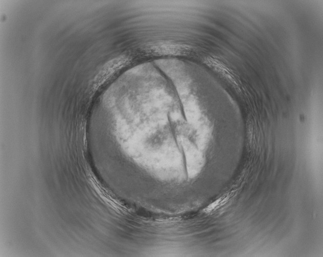 X0000059080398200510211547