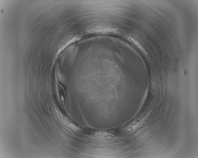 X0000059080399200510211547