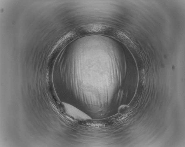 X0000059080400200510211547