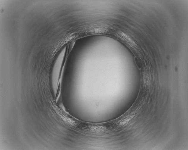 X0000059080401200510211547