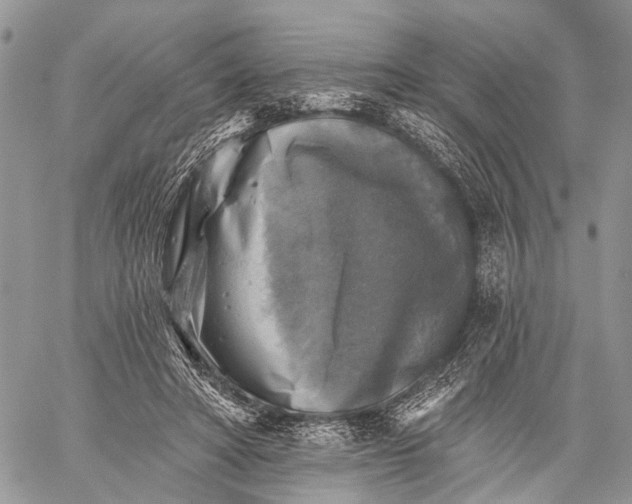 X0000059080402200510211547