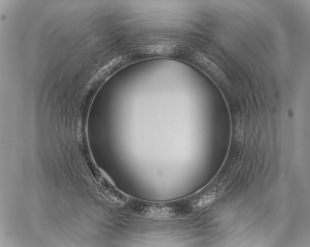 X0000059080403200510211547