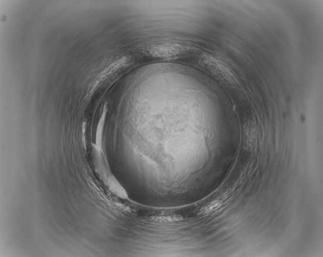 X0000059080404200510211547