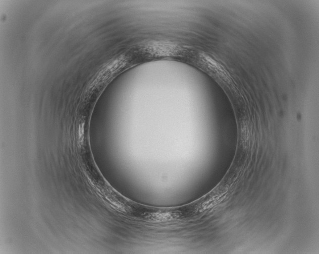 X0000059080406200510211547