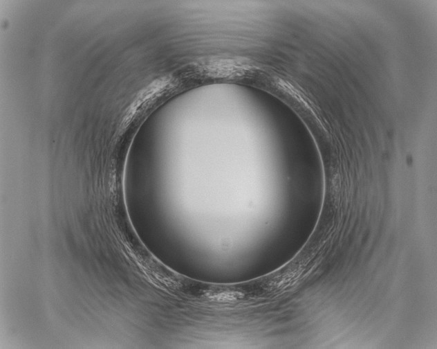 X0000059080407200510211547