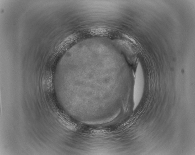 X0000059080408200510211547