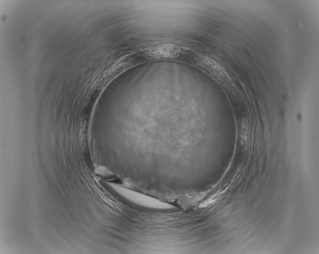 X0000059080409200510211547