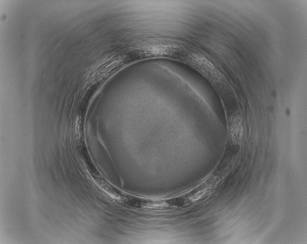 X0000059080410200510211547