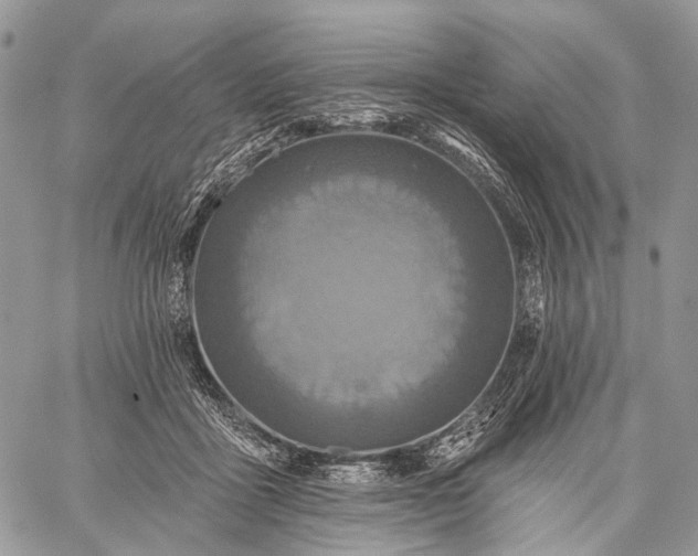 X0000059080411200510211547