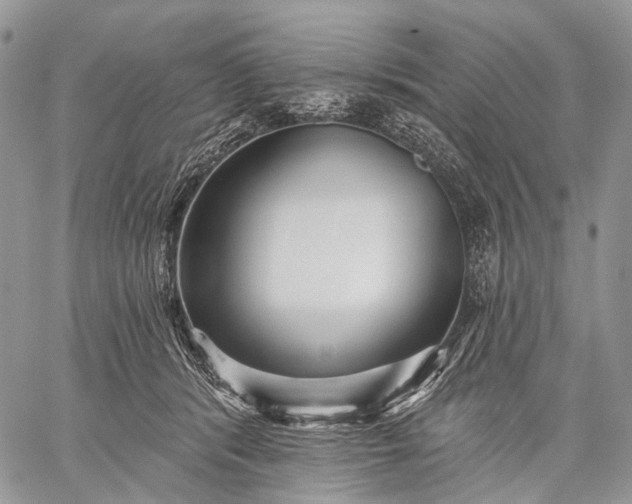 X0000059080416200510211547