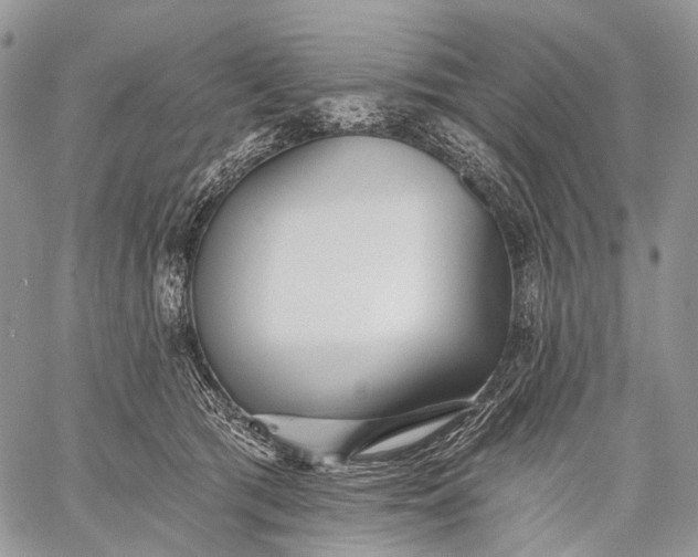 X0000059080417200510211547