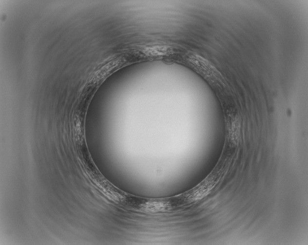 X0000059080418200510211547