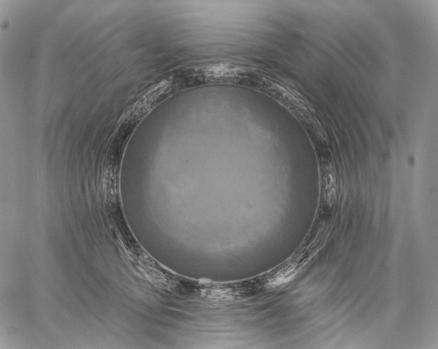 X0000059080419200510211547